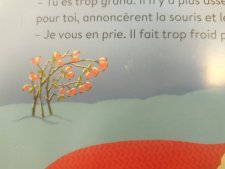 Plante