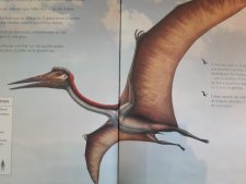 Quetzalcoatlus