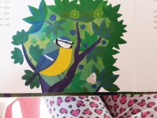 Mésange 