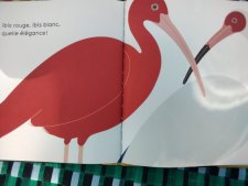Ibis
