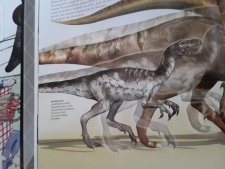 herrerasorus