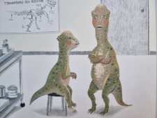 Stegoceras