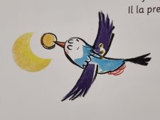 Oiseau