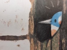 Oiseau