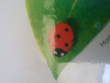 Coccinelle