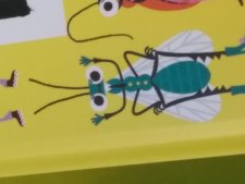 Mouche