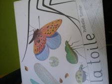 Papillon