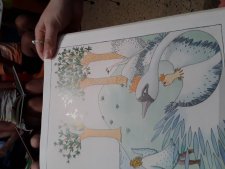 Cygnes