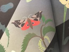 Papillon de nuit