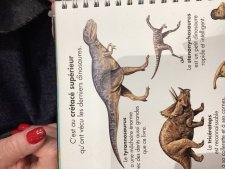 Tyrannosaurus 
