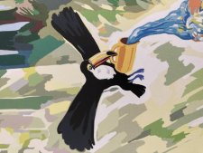 Toucan