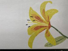 Une fleur jaune ? 