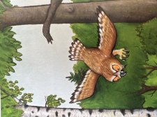 Un hibou 
