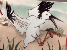 Cigogne