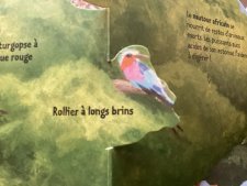 Rollier à long brins