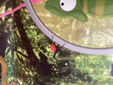 Nouvel article N° 641