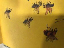 Abeille
