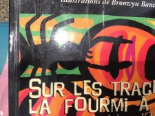Fourmi