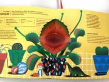 La gobe-mouche