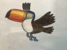Toucan