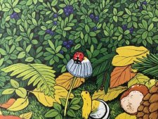 Coccinelle 