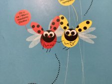 Coccinelles 