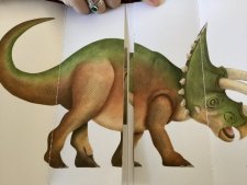 Tricératops 