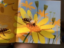 Abeille