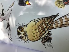 Hibou