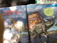 Spinosaures