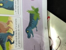 Tyrannosaure rex