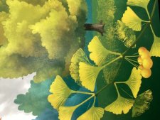 Ginkgo Biloba