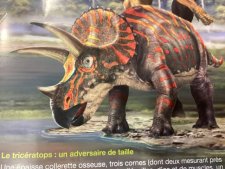 Tricératops