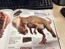 Pachycephalosaurus