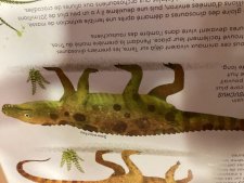 Dinosaure 