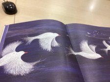 Oiseau