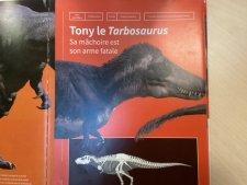 Tarbosaurus