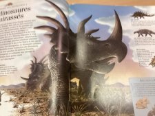 Styracosaurus
