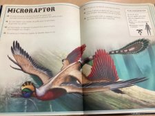 Microraptor