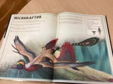 Microraptor