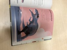 Dinosaure