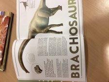 Brachiosaure