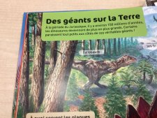 Dinosaure