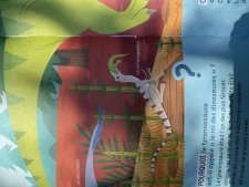 Compsognathus