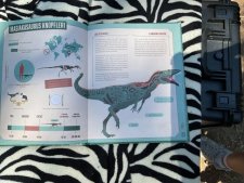 Masiakasaurus knopfleri