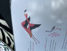 Flamant rose