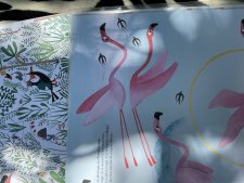 Flamant rose