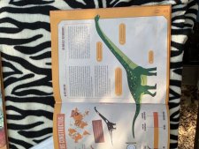 Mamenchisaurus constructus 
