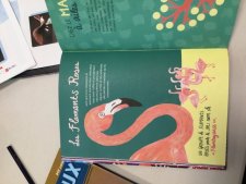 Flamant Rose 