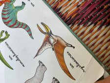  Nyctosaurus